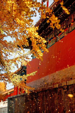 Top Photography Spots to Tick Off in Beijing